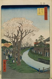 Flores de cerejeira nas margens do rio Tama Cem vistas famosas de Edo, 1856-1858 de Utagawa Hiroshige
