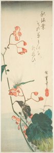 Libélula e begônia de Utagawa Hiroshige