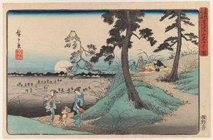 Apreciando o inseto em Dokanzana em Moon Night, da série View of Edo (print woodblock colorido) de Utagawa Hiroshige
