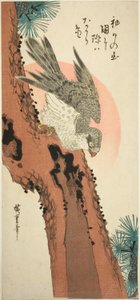 Falcão em um pinheiro com o sol nascente de Utagawa Hiroshige