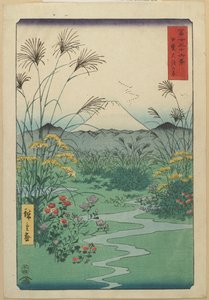 Campo em O_tsuki na província de Kai, abril de 1858