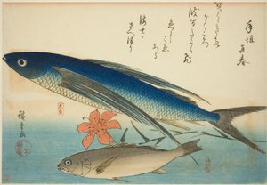 Peixe-voador e Ichimochi, de uma série sem título de peixes de Utagawa Hiroshige