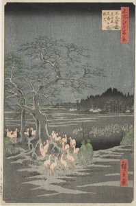 Fogos de raposa na véspera de Ano Novo na Árvore da Mudança em Oji (Oji shozoku enoki omisoka no kitsunebi), da série "Cem Vistas Famosas de Edo (Meisho Edo hyakkei)" de Utagawa Hiroshige