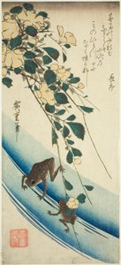 Sapos e rosa amarela de Utagawa Hiroshige