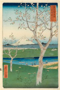 Fuji de Koshigaya, Mushashi, nº 14 da série &39;36 Vistas do Monte Fuji &39;, (&39; Fuji Saryu Rokkei &39;), (impressão em xilogravura a cores)