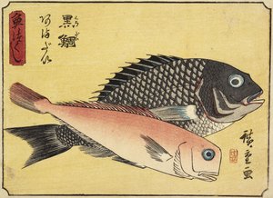 Gilthead e Tilefish, 1830-1844