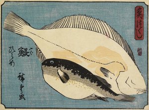 Globefish e Flounder, 1830-1844