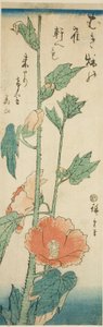Hibisco de Utagawa Hiroshige
