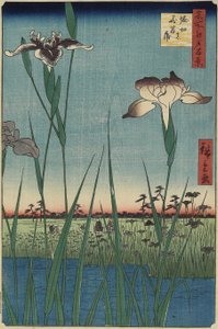 Iris Garden at Horikiri, maio de 1857
