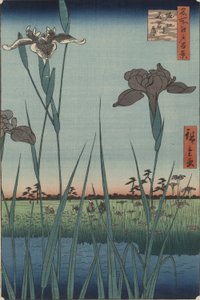 Irises of Horikiri, da série Cem Vistas Famosas de Edo de Utagawa Hiroshige
