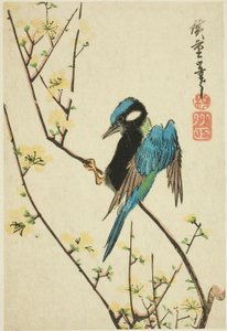 Pardal de Java no ramo de cereja de Utagawa Hiroshige