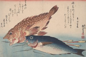 Kasago, Isaki e Ginger, 1832