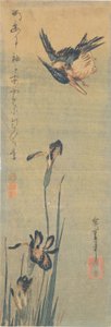 Kingfisher a sobrevoar uma íris de Utagawa Hiroshige