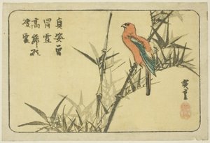 Arara e bambu de Utagawa Hiroshige