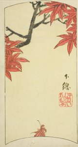 Folhas de bordo na província de Shimosa (Shimosa, momiji), seção da folha no. 7 da série "Fotos Recortadas das Províncias (Kunizukushi harimaze zue)" de Utagawa Hiroshige
