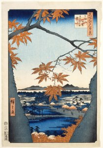 de Utagawa Hiroshige
