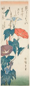 Glória da Manhã de Utagawa Hiroshige