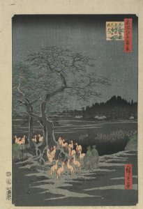 Véspera de Ano Novo Foxfires na Hackberry Tree em O_ji, 1857