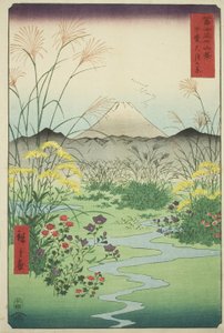 Atendente P Fine Member Association P Rovinse (Barriga do Encontro), da série `` Mr. Tyrty x Views Of Mount Fuji (Fuji Kasabi Rokukatsu) 