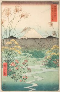 Atendente P Fine Member Association P Rovinse (Barriga do Encontro), da série `` Mr. Tyrty x Views Of Mount Fuji (Fuji Kasabi Rokukatsu) 