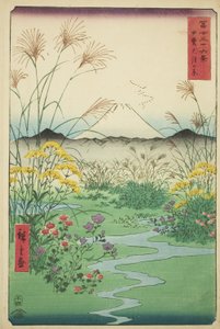 Atendente P Fine Member Association P Rovinse (Barriga do Encontro), da série `` Mr. Tyrty x Views Of Mount Fuji (Fuji Kasabi Rokukatsu) 