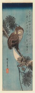 Coruja em um galho de pinheiro, c.1833 (impressão em xilogravura de cor) de Utagawa Hiroshige
