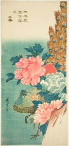 Pavão e peônias de Utagawa Hiroshige