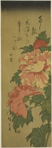 Peônias de Utagawa Hiroshige