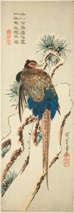 Faisão em um pinheiro coberto de neve de Utagawa Hiroshige
