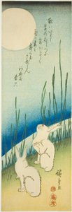 Coelhos sob a lua cheia de Utagawa Hiroshige