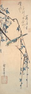 Rabo-azul-de-lanco-vermelho num ramo de cerejeira de Utagawa Hiroshige