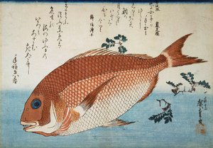 Dourada do Mar Vermelho, 1832-1834. de Utagawa Hiroshige