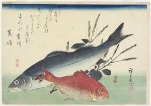Red Snapper, robalo e perilla, c. 1840