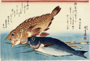 Peixe-escorpião, frango grunhido e brotos de gengibre, c. 1832