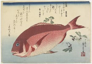 Sargo e Sansho_Sprigs, c. 1832