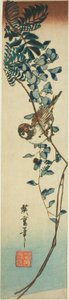Pardal e glicínias de Utagawa Hiroshige