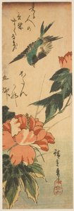 Andorinha e hibisco de Utagawa Hiroshige