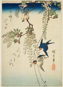 Andorinha, pássaro amarelo e glicínias de Utagawa Hiroshige
