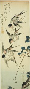 Andorinhas e ramo de floração de Utagawa Hiroshige