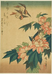 Andorinhas, martim-pescador e hibisco de Utagawa Hiroshige