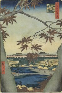  de Utagawa Hiroshige