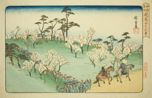 Vendo as flores de cerejeira em Asuka Hill (Asukayama hanami), da série "Lugares famosos em Edo (Koto meisho)" de Utagawa Hiroshige