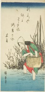 Mulher colhendo algas de Utagawa Hiroshige
