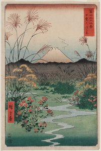 Planície de ōtsuki na província de Kai (Kai ōtsuki no hara), da série Trinta e seis vistas do Monte Fuji de Utagawa Hiroshige