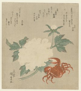 Peônia com caranguejo de Utagawa Kunisada (I)