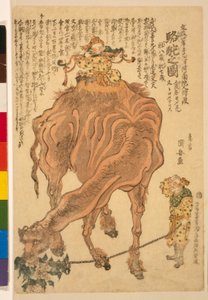 Um camelo, pub. 1824 (xilogravura colorida à mão) de Utagawa Kuniyasu