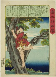 Zeng Shen (So Shin), da série "Vinte e quatro Paragons of Filial Piety in China (Morokoshi nijushiko)" de Utagawa Kuniyoshi