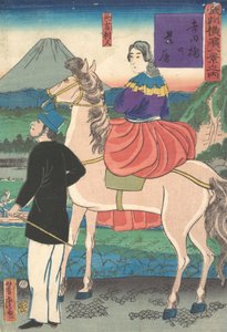 Crepúsculo, olhando gansos selvagens voando em direção à ponte Yoshida, janeiro de 1861. de Utagawa Yoshitora