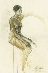 Estudo de nu contemplativo