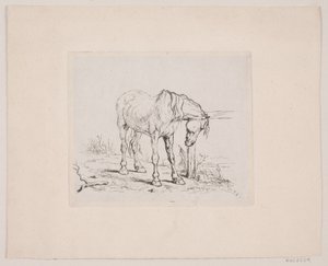 Um cavalo velho de Valdemar Irminger
